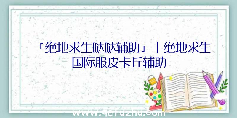 「绝地求生哒哒辅助」|绝地求生国际服皮卡丘辅助